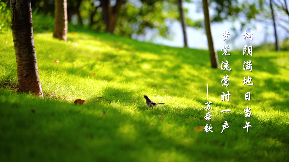 微信图片_20220505094636.png