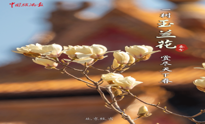 春分，共赴一场春日花事！